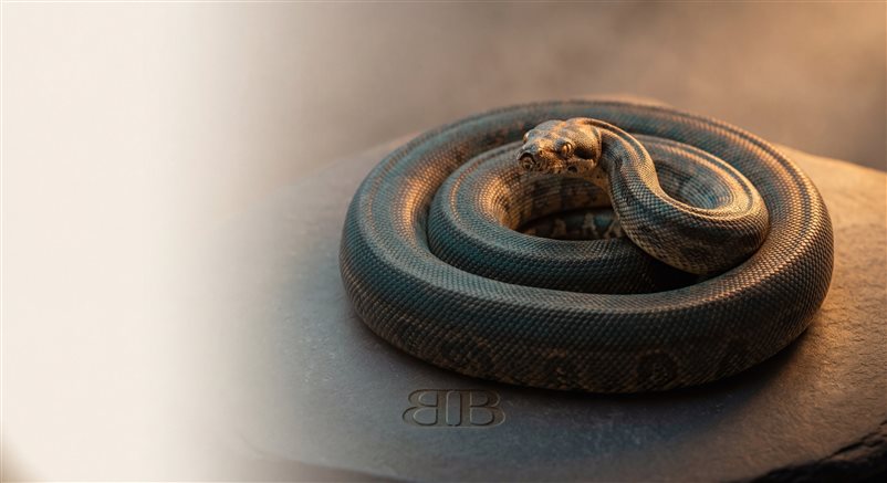 Herní rozhraní s kartami a čipy